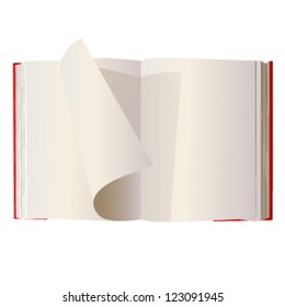 empty book to place your concept or text. vector design