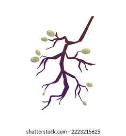 Empty branch of grapes flat style, vector illustration isolated on white background. Food waste, organic trash, design element. Remains of grapes, recyclable waste