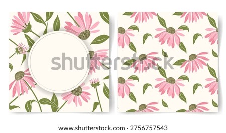 Empty card with coneflower and seamless pattern with echinacea bloom. Pink flowers background for greeting card, invitation. 