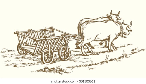 Empty cart pulled by big oxen. Vector monochrome freehand linear ink drawn background sketchy in art scribble antiquity style pen on paper with space for text on sky