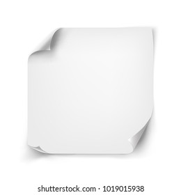 Empty curl paper sheet. Vector note page blank message background with curl corner.