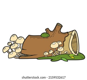 Empty deck overgrown with moss and toadstools color variation for coloring page isolated on white background