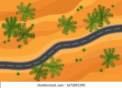 And empty desert and palms road aerial view vector illustration. Travelling or safari concept