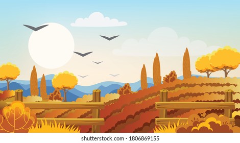Empty fields surrounded by fences, bushes and trees. Autumn thematics. Flying birds. Vector
