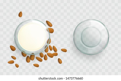 Empty, filled with almond milk glass bowl, scattered around almond nuts top view 3d realistic vector isolated on transparent background. Natural, organic vegetarian culinary food product illustration