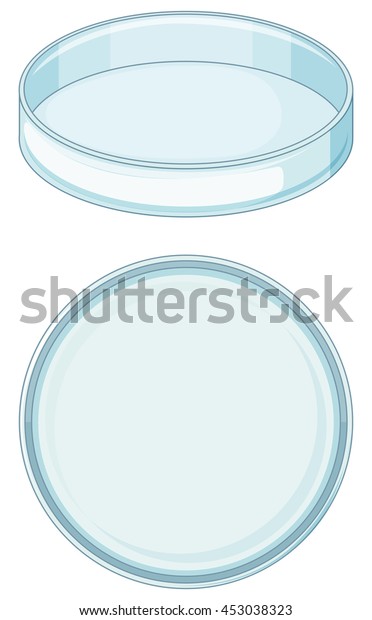 Empty Glass Tray Used Science Lab Stock Vector (royalty Free) 453038323