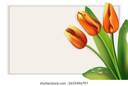 Empty greeting card template with realistic tulips and dewdrops. Illustration used for collage, design of greetings, invitations, banners, advertising materials, and creative projects