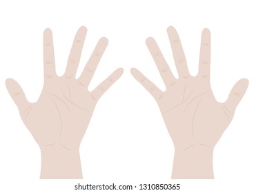 Empty hands isolated on white background vector illustration. Human hands vector. 