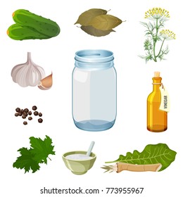 Empty jar and fresh ingredients for pickles preparation