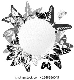 Empty label with place for text over hand drawn butterflies. Vector illustration