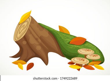 Empty log overgrown with moss and autumn leaves isolated on white background