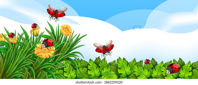 Empty nature background with many lady bugs illustration