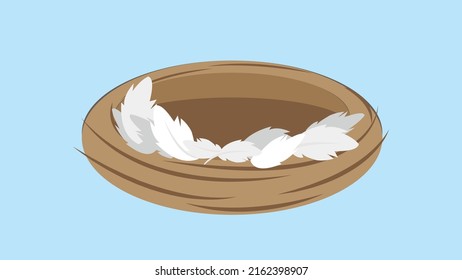 Empty nest with white and gray feathers