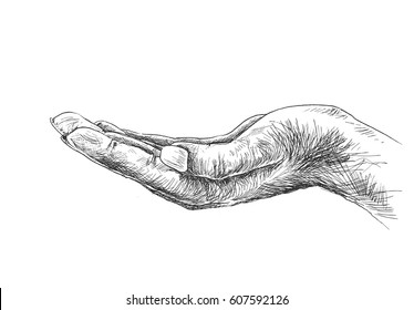 Empty open hand gesture isolated on white background, Hand Drawn Sketch Vector Background.