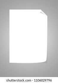 Empty paper sheet with curled corner - A4 sheet