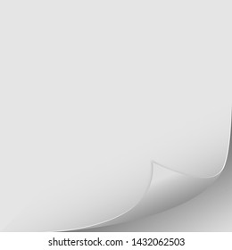 Empty paper sheet with curly corner and transparent shadow element for advertising and design. Vector illustration