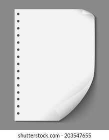 Empty Paper Sheet Vector Design