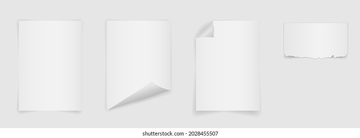Empty paper template. Realistic A4 mockup with curled corner on background with shadow. Half torn page. Isolated vector illustrator.