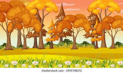 Empty park scene at sunset time illustration