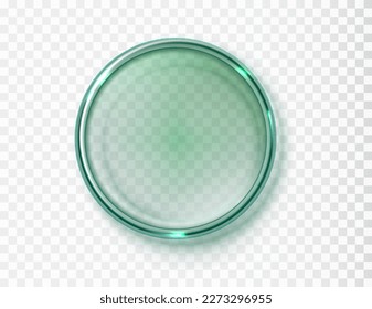 Empty petri dish isolated on transparent background. Realistic Green glass round displays. Vector illustration.