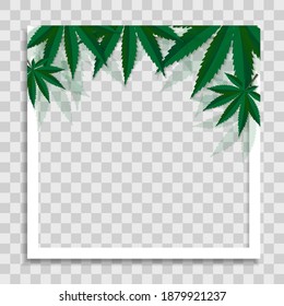 Empty Photo Frame Template with cannabis leaves for Media Post  in Social Network. Vector Illustration
