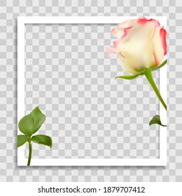 Empty Photo Frame Template with Spring Flowers for Media Post  in Social Network. Vector Illustration