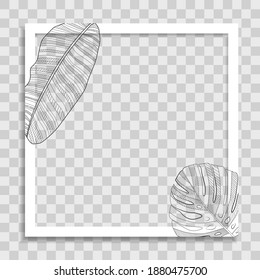 Plantilla fotográfica vacía con hojas de palmera de verano para publicación en redes sociales. Ilustración vectorial
