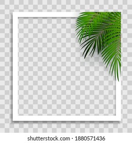 Empty Photo Frame Template with Summer Palm Leaves for Media Post  in Social Network. Vector Illustration
