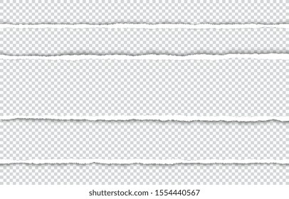 Empty pieces of white torn horizontal paper strips with torn edges.