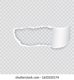 Empty realistic torn paper scroll and hole on transparent background. Vector realistic torn and twisted paper strip. Ragged hole torn in ripped paper on transparent background.