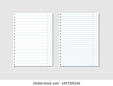 Empty sheets of school exercise book are checkered and linear. Vector illustration.