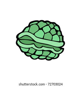 empty shell cartoon empty shell cartoon