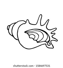 empty shell of a marine mollusk or hermit crab, vector illustration with black contour lines isolated on white background in Doodle and hand drawn style