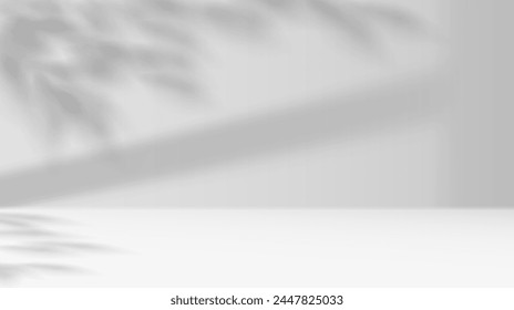 Empty showroom and leaves shadows realistic vector illustration. Light studio for products demonstration 3d backdrop black and white