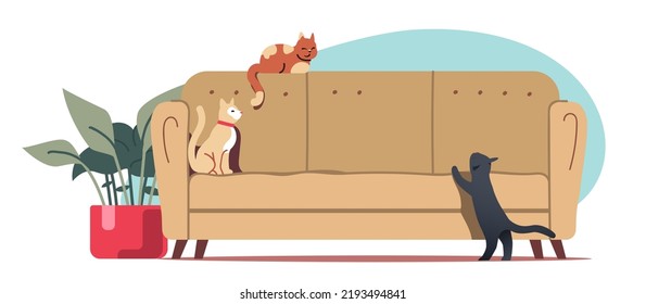 Sofá vacío con gatos, maceta planta en el interior de casa. Acogedor sofá cómodo mobiliario de apartamento, lindos animales de compañía. Esparcimiento, sala de estar contemporánea, comodidad doméstica, ilustración vectorial plana