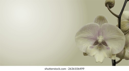 projeto de espaço vazio com ilustração de apoio na forma de orquídeas como inspiração para comunicação fundo gráfico