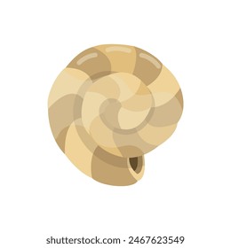 Empty spiral golden shell. Vector illustration on white background