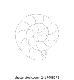 Empty spiral shell linear icon. Vector illustration on white background