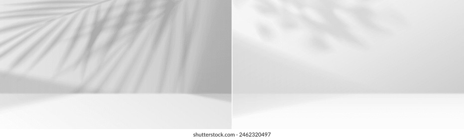 Etapas vacías con hojas exóticas sombras conjunto de Ilustración vectorial realista. Producto que muestra los fondos 3d en blanco y negro
