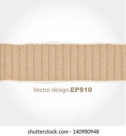 empty torn paper fringe to place your concept or text