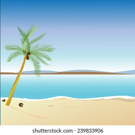 Empty tropical beach vector artwork 