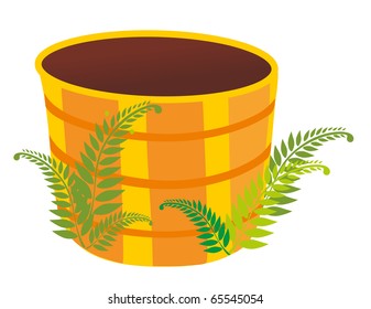 empty tub and bush of the fern