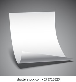 Empty white paper sheet on grey background