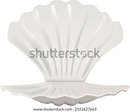 Empty white scallop shell on a white background, slightly open showing its nacre