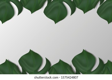 Empty white space. Blank template on white background top view. decor by palm, monstera leaves. for product, sale, banner, presentation, cosmetic, offer. copy space. Realistic illustration Vector.