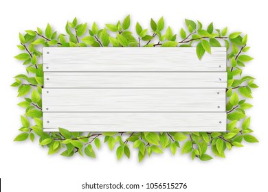 Empty white wooden sign with space for text on a background of tree branches with green leaves. The template for a banner or an advertisement for a seasonal discount.