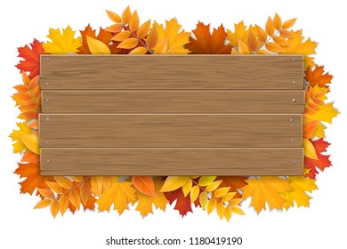 Empty wooden sign with space for text on a background of maple tree leaves. The template for a banner or an advertisement for a autumn seasonal discount.