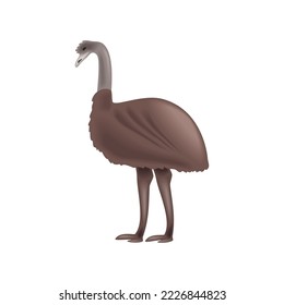 emu animal icon flat isolated