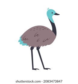 Emu Bird as Australian Animal with Long Neck and Legs Vector Illustration