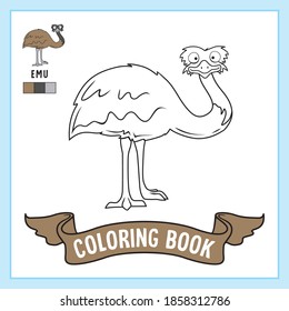 Emu Bird Coloring Pages Book Worksheet Ostrich